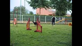 Entrenamientos de Kupper