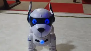 Talented robot puppy