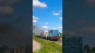 VSM 2412 + 2530 + 2459 met personen trein rijden richting Loenen! #stoomtrein #train #vsm #diesel