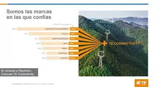 TE Connectivity - Tyco/Raychem en la actualidad