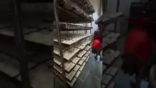 Pav making in Factory 🔥😱🤯 #youtubeshorts