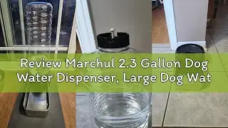 Review Marchul 2.3 Gallon Dog Water Dispenser, Large Dog Water Bowl Dispenser with Stainless Steel,
