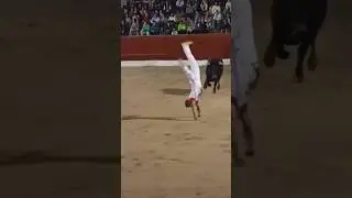 El imposible salto al toro que jam&aacute;s imaginar&iacute;as 🤯