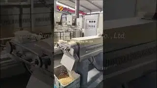 Pumpkin seeds shaped #snacks making #machine corn sticks cheese balls #manufacturing #equipment