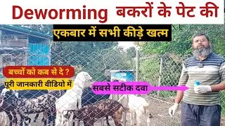 बकरों की Deworming कैसे करें । Bakri mei Internal Parasites ko kaise khatam karein