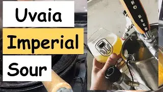 Receita Imperial Sour de uvaia