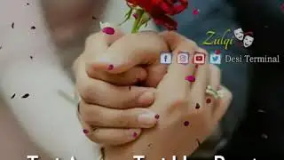 Rose Day Special Status | Rose Day Status | Valentines Day 2020 Status |  Rose Day Whatsapp Status