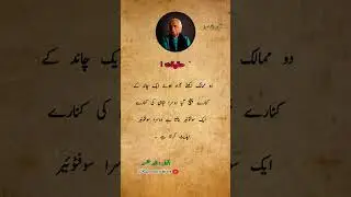 Anwar maqsood best quotes in urdu🥺 #anwarmaqsood #urduquotes #shorts #kalsoomwriters