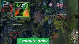 How to make Gold with Griffon: 4 Runestones in 1 minute - Echovald Runestone farm (Guild Wars 2)