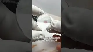 Cambio de cristal zafiro💯 Mulco Buzo ⌚️si tu reloj est&aacute; con el cristal rayado lo puedes cambiar 🤩