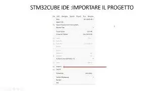 4:Cosa &egrave; un Workspace e come importare esempi e progetti