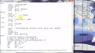 Dépassement de tampon, exemple et explication, en C et en Assembleur (x86, Arm)