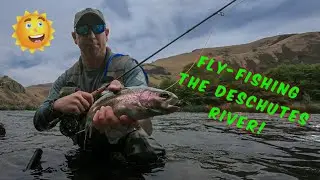 Fly Fishing Oregon's Deschutes River During The INSANE 2020 Salmonfly Hatch!