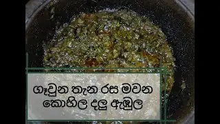 ගෑවුන තැන රස මවන කොහිල දලු ඇඹුල - Kohila dalu abula