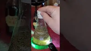 How To Make Elixirs - Plant Alchemy