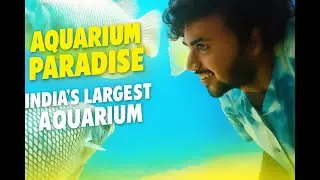 Aquarium Paradise - India's Largest Aquarium in #Namma Bengaluru Part - 1