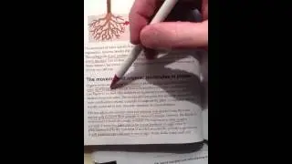 Plant water and mineral movement