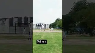 cricket lover