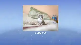 Melanie Martinez - copy cat (8d audio)