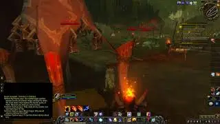 Tortollans In Distress
