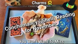 November Conchomancy Reading 🐚 Timeless (Yes/No)🎉🔮🕸