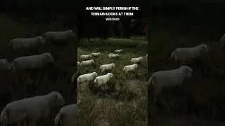 Turning My Village Into a 24/7 Production Line | Manor Lords