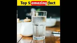 Top 5 physical fact about your life by Fact of world #shorts