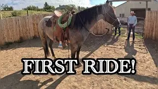 Filly’s First Ride | Starting A Touchy Filly