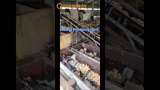 Cassava Processing Plant