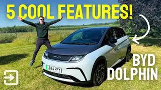 BYD Dolphin 2024 - 5 Cool Features!