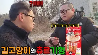 짜먹는 '두쫀쿠'인척, '츄르' 쭉 빨기