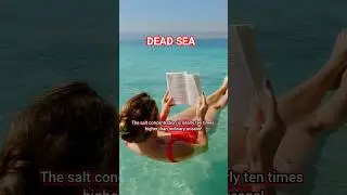 dead sea. float in salty water