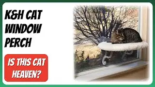 REVIEW (2025): K&H Cat Window Perch. Features.