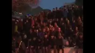 LOSAR TSE TSE on tespasum