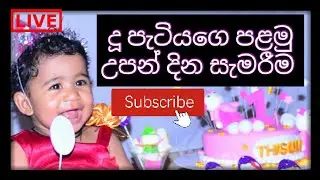 First Birthday Celebration|Baby Girl| Birthday Theme|Birthday Photoshoot Ideas / Sri Lankan /Sinhala