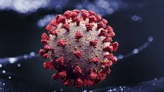 Delta variant more deadly than first thought