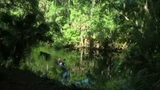 Florida Travel: The Natural Side of Orlando