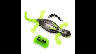 Rechargeable RC Robot Wall Climbing Gecko Toy for Kids