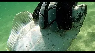Testdive, Angling, Snorkeling/ Glatved Beach North of Pier/ Denmark/ Djursland