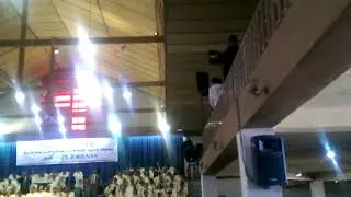 Davvv