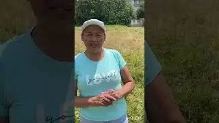 caracter&iacute;sticas de los ecosistemas bi&oacute;topo y biosintesis