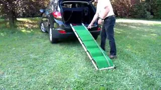 Die Hunderampe