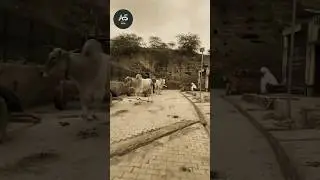 Ujar Khere murh Base || #haryanvistatus #haryanvi #status #shorts #viral
