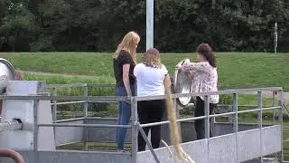 Kurbelfähre Holtland/Filsum