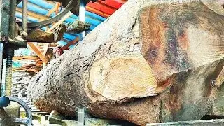 It's amazing!! The largest manual sawmill for nangka wood