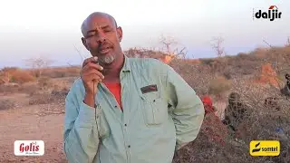 Bulshada kaamamka Sablaale ee degmada Buurtinle ayaa ka cabanaya xaalad nolol-xumo oo baahsan