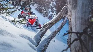 Hot Sleds. Hot Prices.