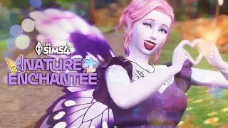 D&eacute;couverte de Nature Enchant&eacute;e #17 (stream du 28/11/25)