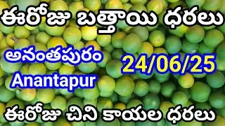 24 June 2025| Today mosambi rate |Tomato rate Mosambi top rate అనంతపురం మార్కెట్ బత్తాయి ధరలు