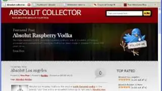 Wordpress online VIDEO course introduction by Alex Flom